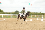 SBM_008652