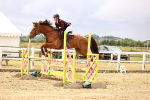 SBM_026193