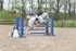 BPP_3360
