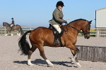 SIAL2166