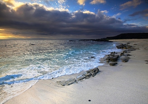 [align=center][size=11][b]Mosquera Islet[/b][/size][/align]