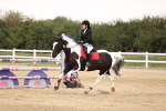 SBM_04242