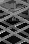 Criss Cross