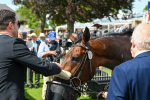 140625-Race 3-Al Qareem-2630
