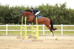 SBM_005951