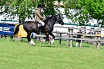 SBM_08029