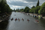 IMG_8528