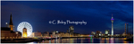 Rhine Promenade Panorama