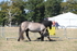 WJ6_4376