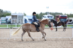 SBM_17137