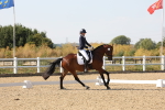 SBM_006441