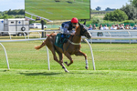 160725-Race 3-Miss Yechance-9005