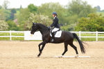 SBM_006511