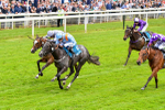 190523-Race 1-Got To Love A Grey-0565