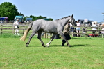 SBM_03317