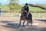 BPP_8037