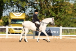 SBM_08144