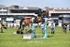 BPP_9019