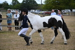 WJ6_8102
