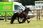 SBM_08543