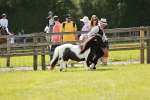 SBM_02497