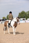 Class 307 Ridden Coloured Pony portfolio