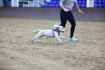SBM_005909