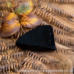 Sold Whitby Jet jsp687