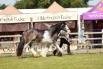 SBM_08752
