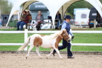 SBM_05873