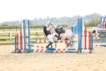 SBM_001661