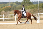 SBM_018380