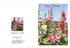 006 Norfolk Hollyhocks - Happy Birthday