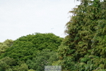 250613A-152234-03995