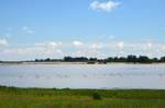 La Madre de las Marismas, El Rocío, Coto Doñana, Andalucia, Spain