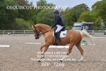 BPP_7266