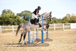 SBM_000379