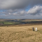 Foresyt of Bowland