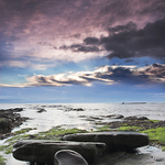 Berwick Stones