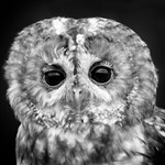 20140816-3K8A5169-3062