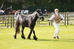 SBM_00736