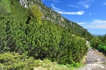 Rila Mountains, Sofia Province, Bulgaria