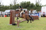 Class 18: Tiny Tots Working Hunter Pony portfolio