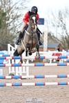 Cls 22 Foxhunter and 1.20m Open portfolio