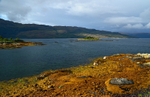 Loch Sunart, Ardnamurchan, Highland