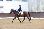 SBM_000229