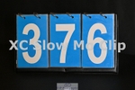 ESP_376