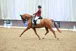 SBM_004427