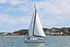 190729 MERDEKA GBR7835T - BAVARIA 44 1Y3A6193