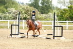 SBM_006540